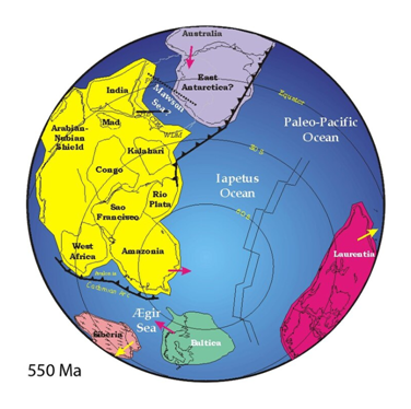 Eine der mehreren möglichen Kontinent-Anordnungen vor 550 Millionen Jahren – Rodinia ist bereits zerfallen. Uheberschaft: der Urheberrechtsinhaber dieses Werkes, veröffentliche es als gemeinfrei. Dies gilt weltweit.