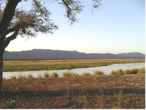 Sambesi im Mana-Pools-Nationalpark unterhalb des Kariba-Staudamms. 