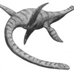 Plesiosaurus
