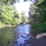 Bear Creek