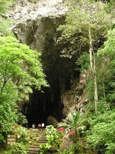 Cueva de Guacharo