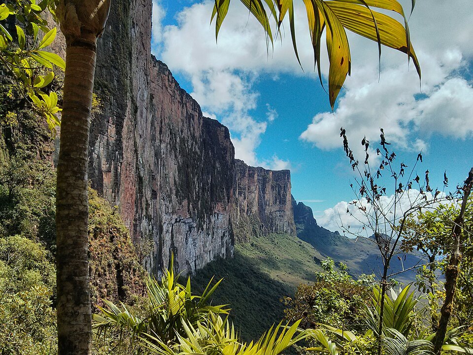 Felswand des Roraima-Tepui