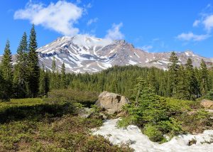 Mount Shasta