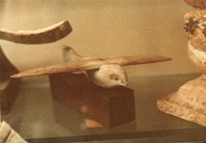 Vogel von Sakkara