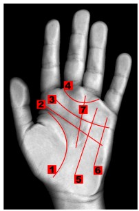 Handlinien