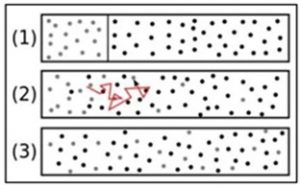 Diffusion