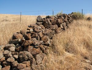  East Bay Walls , auch bekannt als Berkeley Mystery Walls