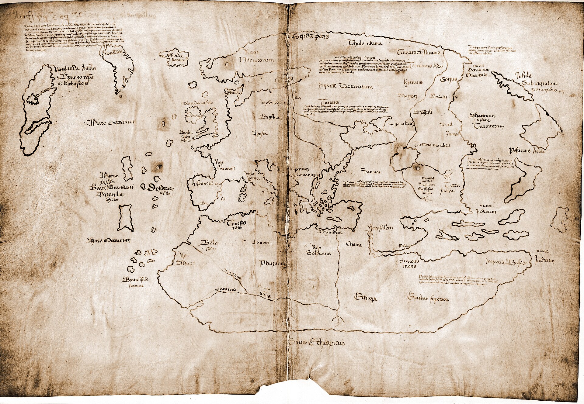 Vinland Karte