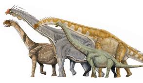 Sauropoden