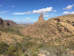 Weavers Needle 