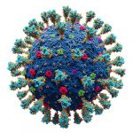 Korona Virus